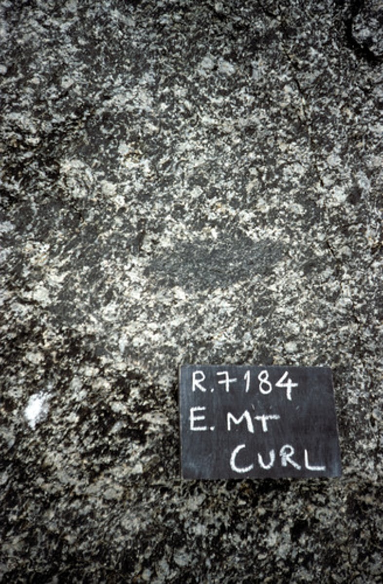 <p>Coarse grained.</p>