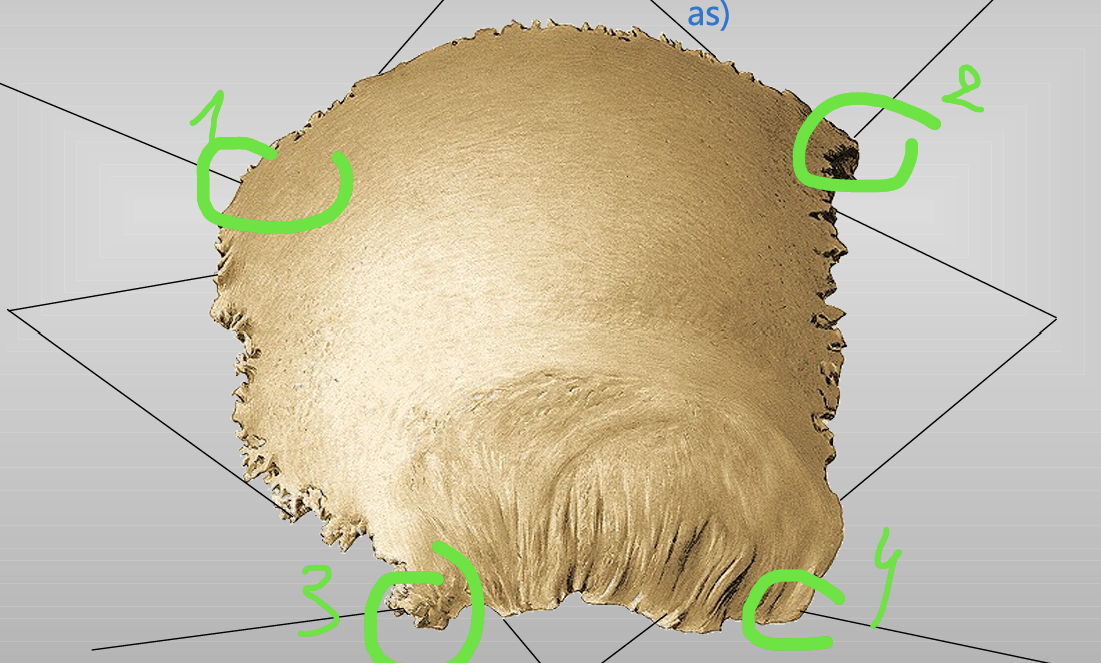 <p>4</p>