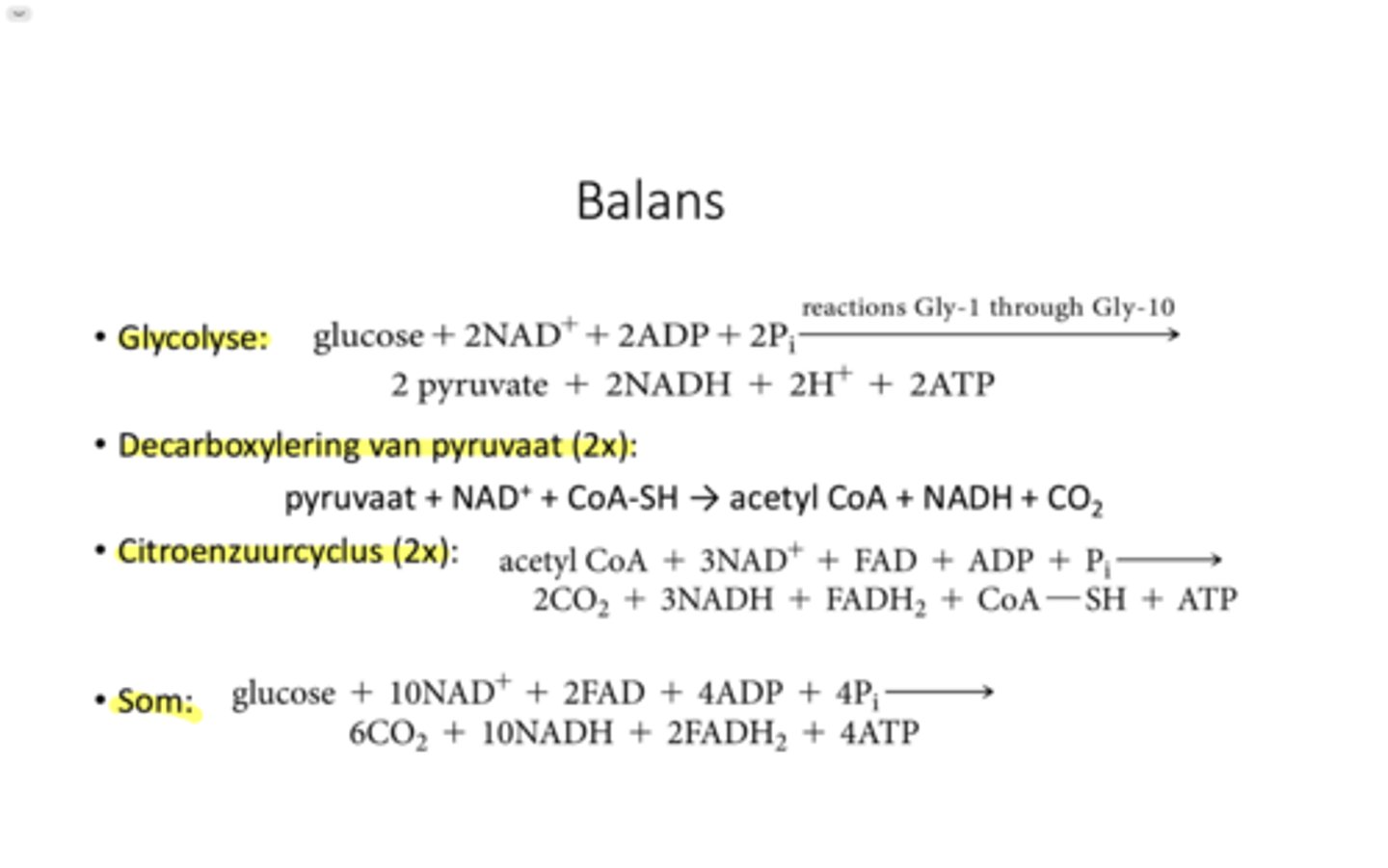<p>in totaal 4 oxidaties</p><p>2 oxidatieve decarboxylaties in de CAC, als je vertrekt van pyruvaat dan zijn het er 3</p><p>Energie van GTP en ATP is gelijk dus GTP wordt omgezet naar een ATP</p>
