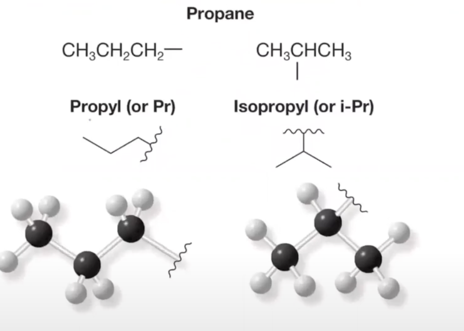 - propYL (carbons in a chain)
- ISOpropYL (isomer/bunny ears)