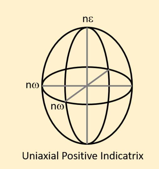 <p><span>In a positive uniaxial indicatrix with light vibrating in the omega direction would it be the fast or slow ray?</span></p>