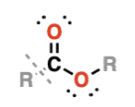 <ul><li><p>RCOOR —&gt; similar to carboxylic acids, except the O-H bond is replaced with an O-C bond </p></li><li><p>contain polar bonds, but do not participate in hydrogen bonding </p></li><li><p>notable for their sweet smells</p></li></ul><p></p>