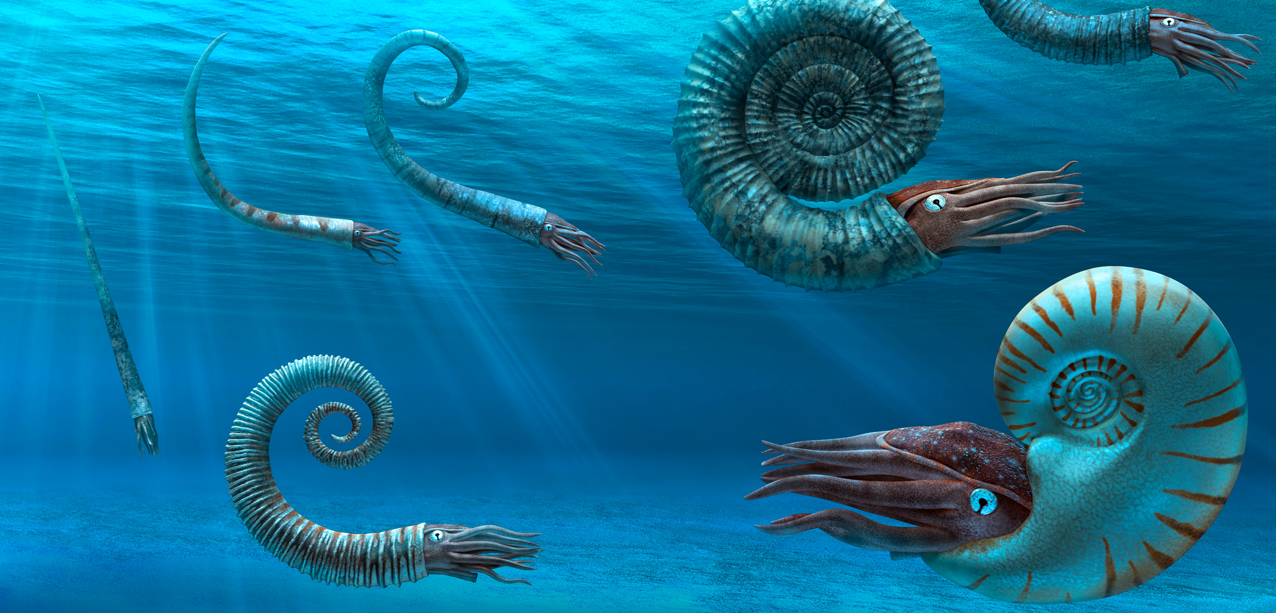 <p>What were the dominant invertebrate predators for hundreds of millions of years?</p>