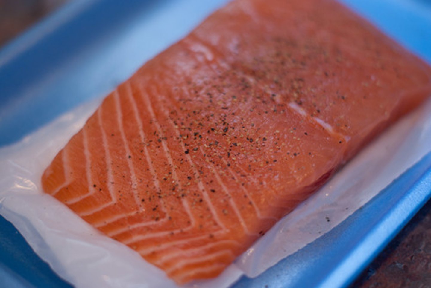 <p>salmon</p>