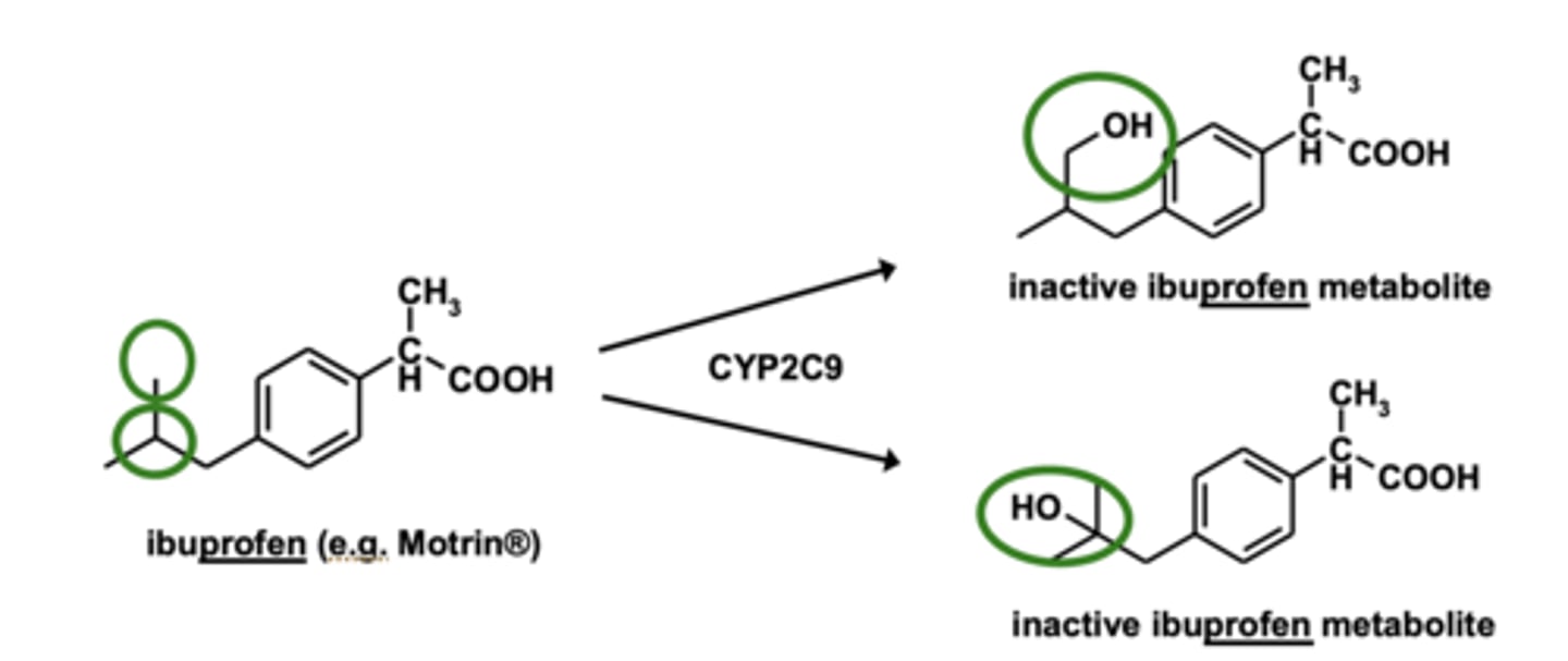 <p>on <strong>terminal/ultimate</strong> or <strong>penultimate carbon</strong> of chain </p><p>- can be different for <strong>alkyl side chains attached to aromatic rings</strong></p>