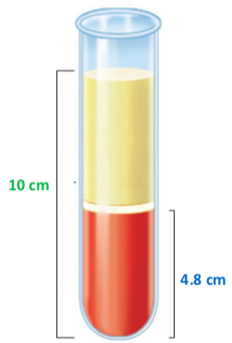 <p>48%</p>