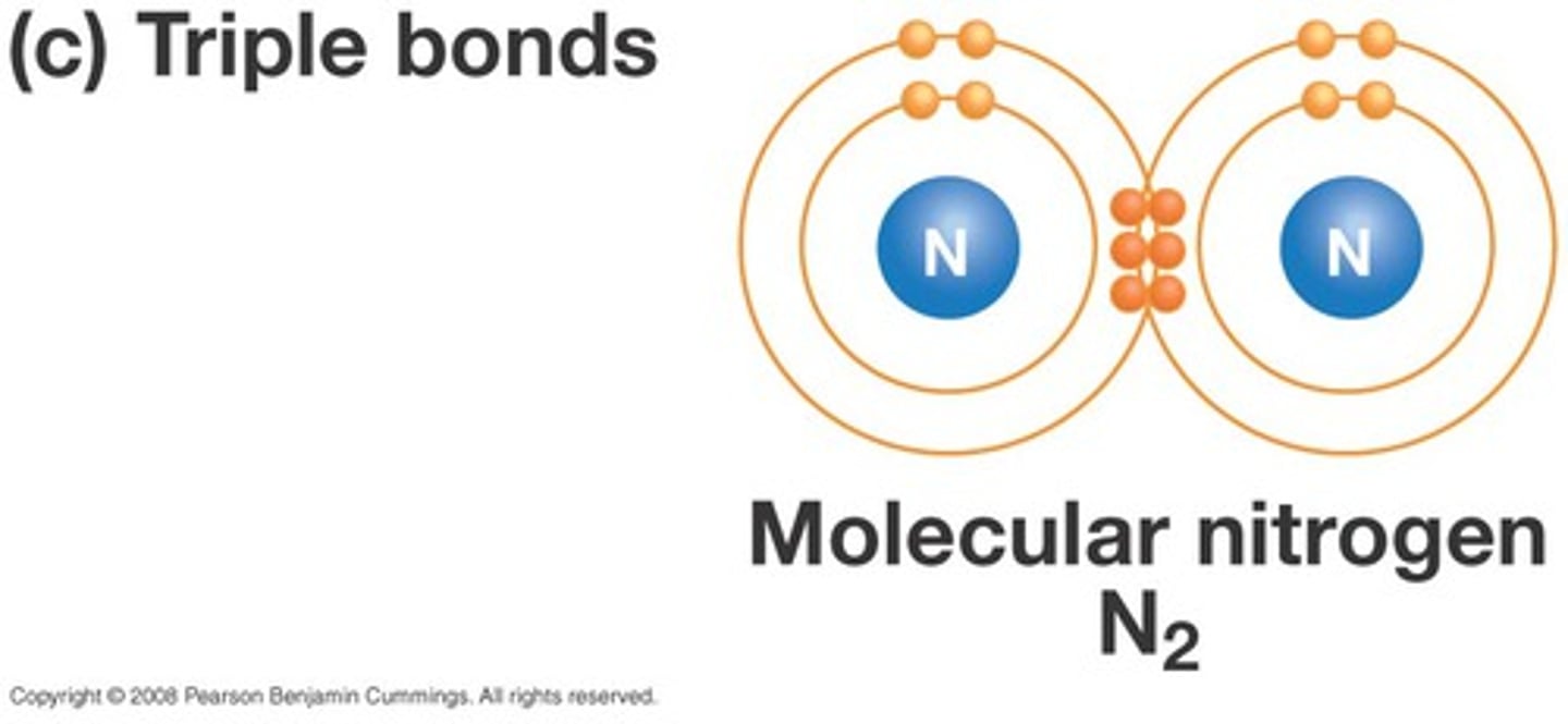 <p>6 electrons (or 3 pairs of electrons) being shared between 2 atoms (made up of 1 sigma and 1 pi bond)</p>