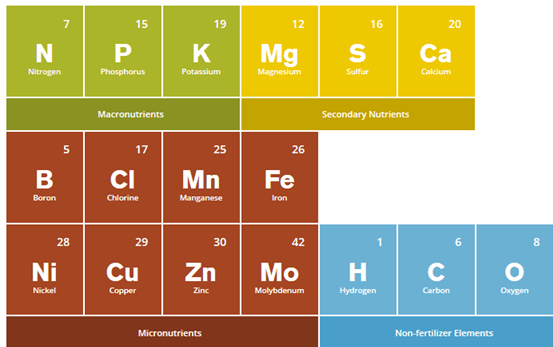 <p>The 17 chemical elements required for a plant to complete its life cycle and produce seed</p>
