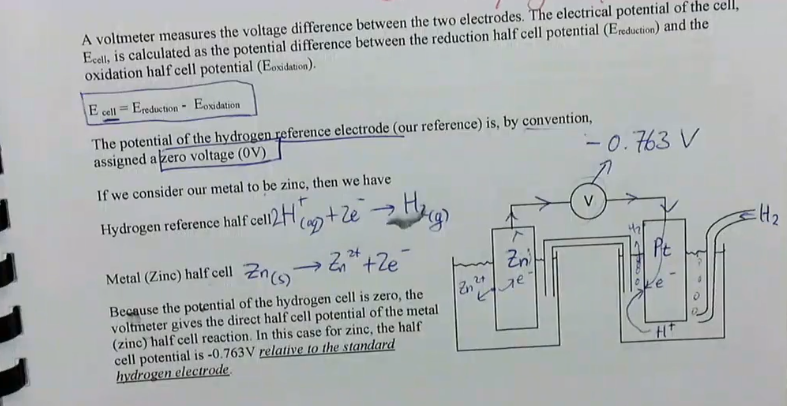<ul><li><p>Ecell = Ereduction - Eoxidation</p><ul><li><p>the potential of the hydrogen reference electrode is by convention assigned a zero voltage (0V</p></li></ul></li><li><p>metals which are more reactive than hydrogen are assigned negative potentials</p><ul><li><p>if we connect the metal to the hydrogen reference electrode without a voltmeter, these metals are oxidised to ions and hydrogen ions are reduced to form hydrogen gas</p></li></ul></li><li><p>the reaction with the more negative electropotential → will be oxidised</p></li><li><p>the reaction with the most positive electrode potential → will be reduced</p></li></ul><p></p>