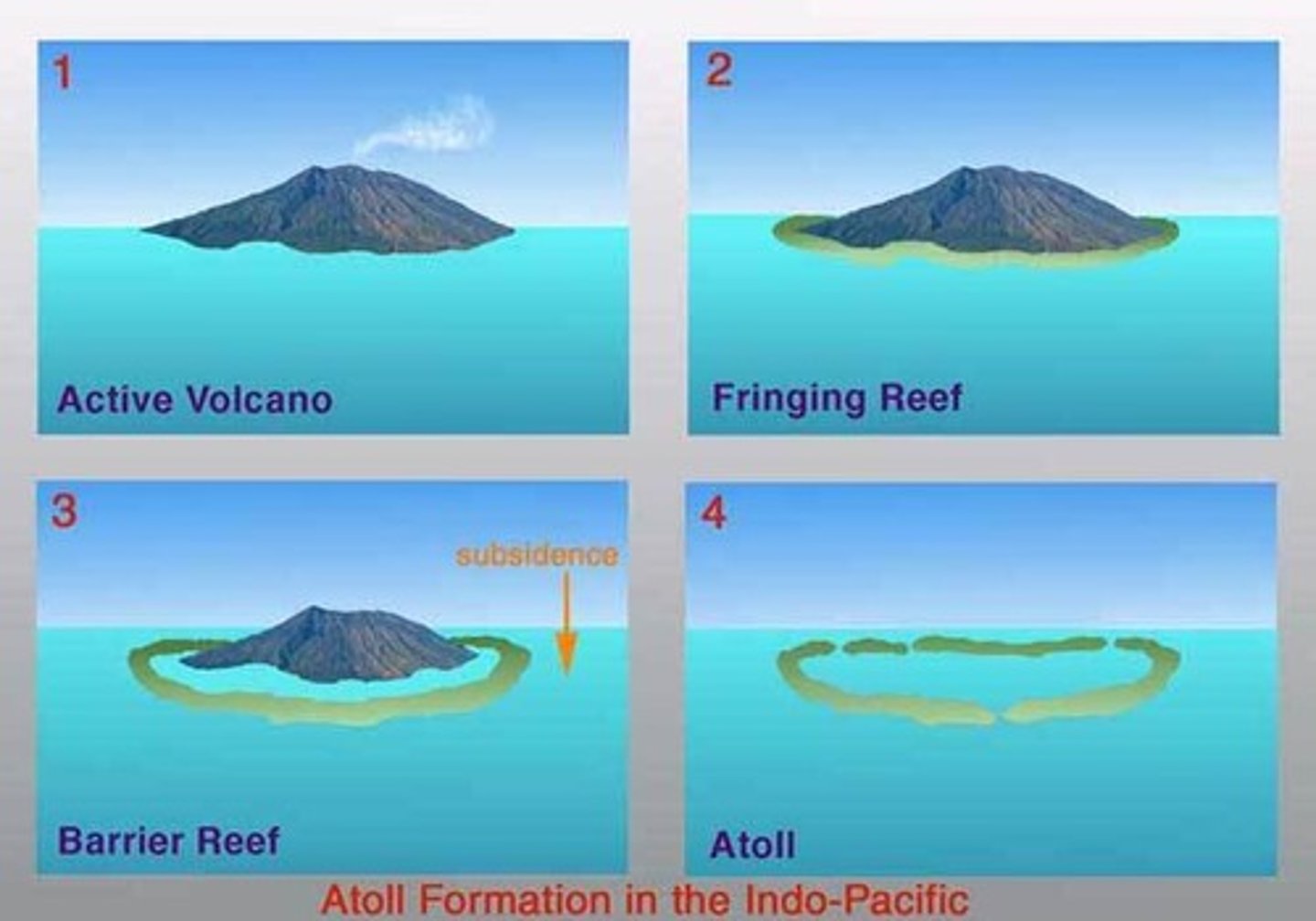 <p>- volcanic island</p><p>- fringing reef forms around islands</p><p>- islands sinks, corals continue to grow up, form barrier reef with lagoon</p>