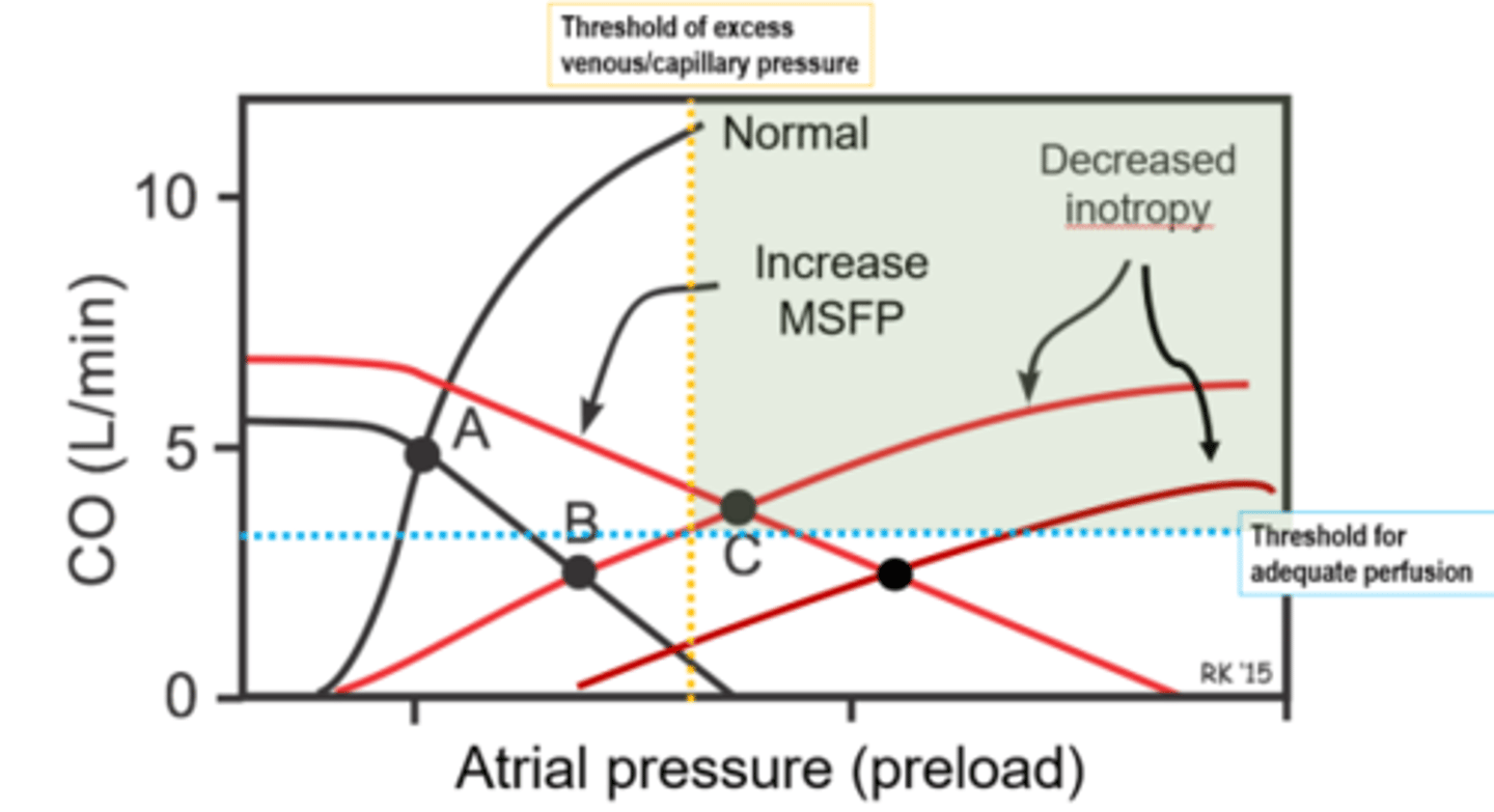 <p>-edema and/or effusion without obvious symptoms of low Cardiac output</p><p>-backward failure only</p>