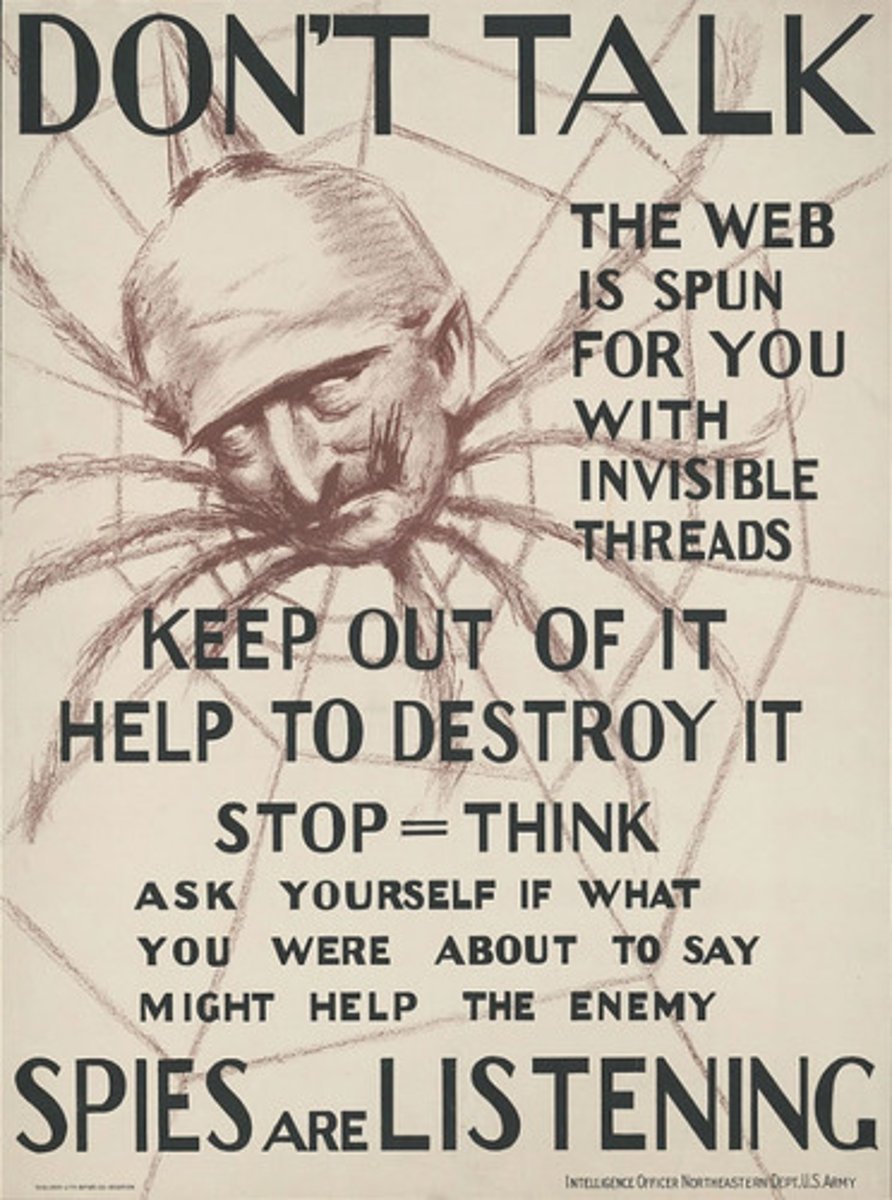 <p>1917 law creating procedure for detecting and imprisoning spies. Government could censor the mail and arrest anyone for interfering with the draft. Led to Schenck v U.S. - Supreme Court upheld limits on free speech when "a clear and present danger" is evident.</p>