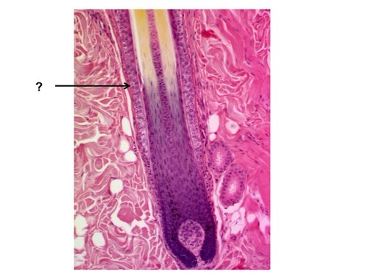 <p>what is this called?</p>