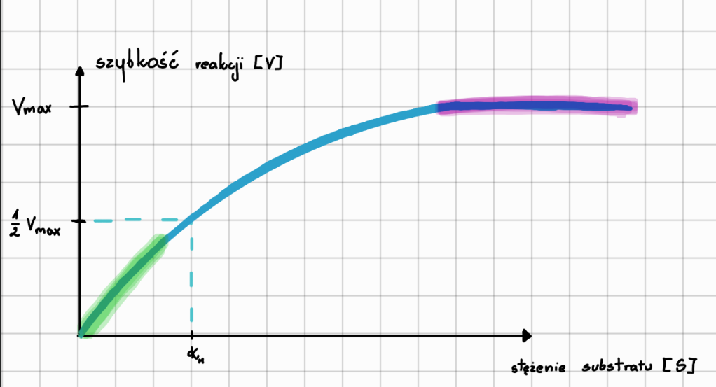 <p>Mówimy o stałej Michaelisa, czyli stężenie substratu, w którym reakcja osiąga połowę maksymalnej szybkości. Gdybyśmy, stale ją zwiększali to w pewnym momencie, enzymy są w pełni wysycone substratem, przez co reakcja osiąga prędkość maksymalną i jej nie przekroczy.</p>