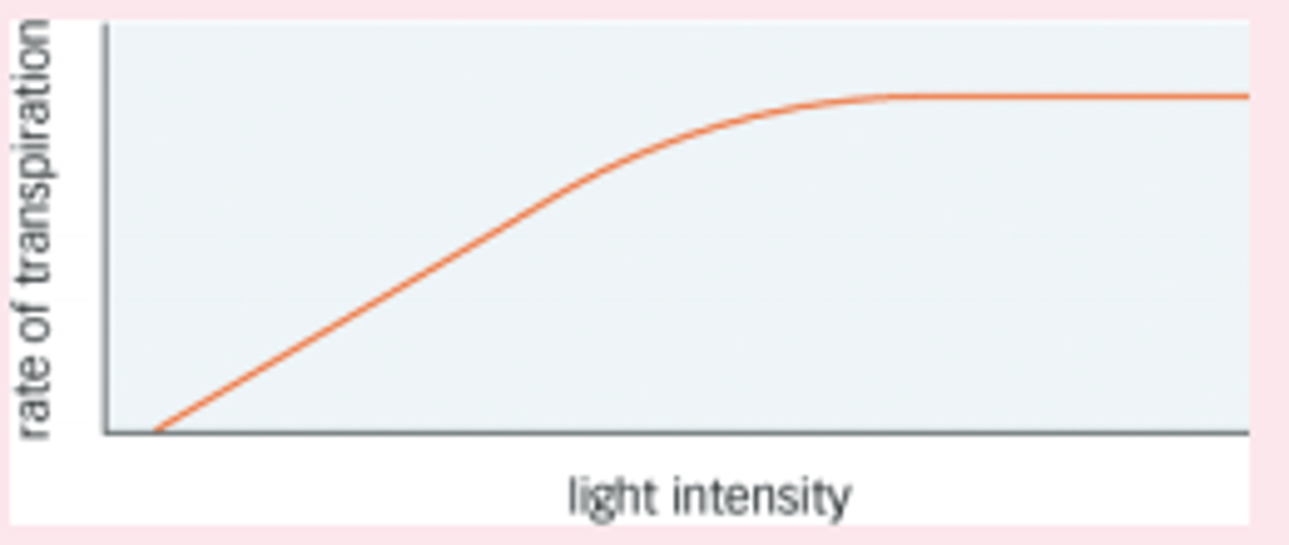 <p>Light intensity increase rate of transpiration increase as stomata open wider allowing larger area for water vapour to escape</p>