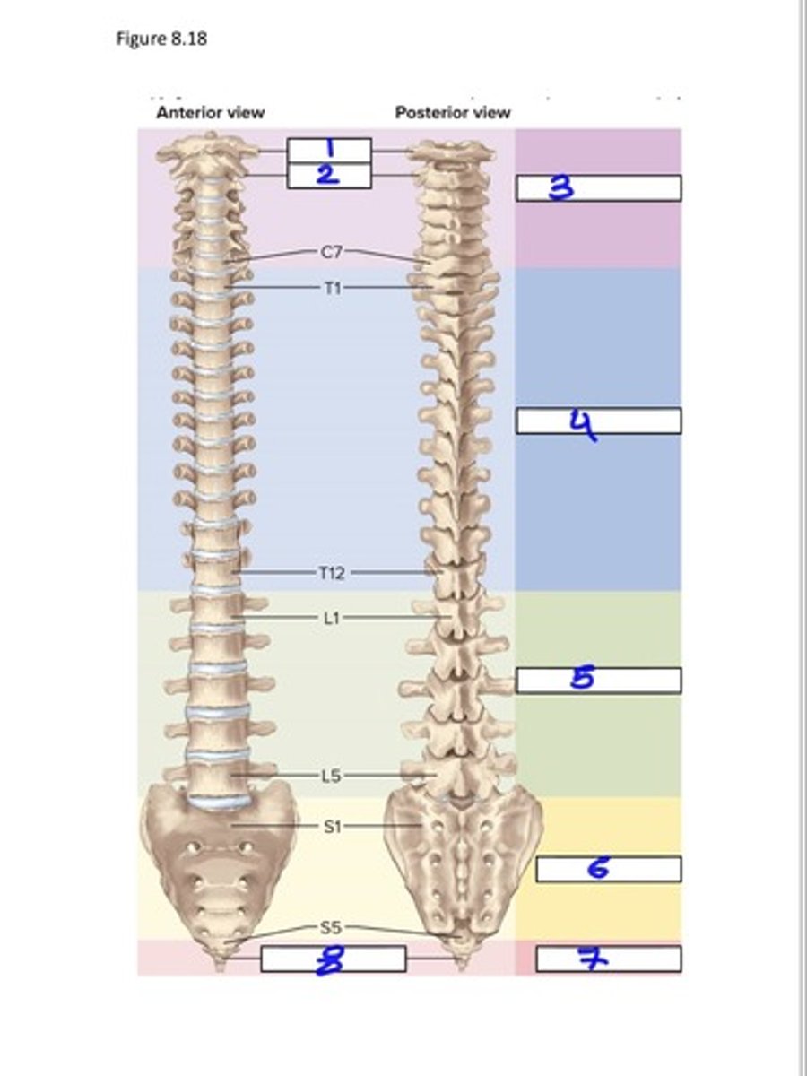 <p>5</p>