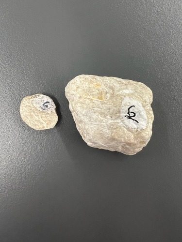 <ul><li><p>white/pearly</p></li><li><p>Chalky</p></li><li><p>1 plane of cleavage </p></li><li><p>Hardness: 1</p></li></ul>