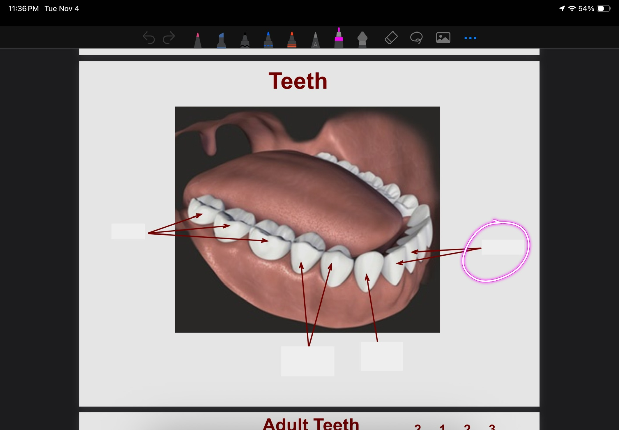 <p>What is this?</p>