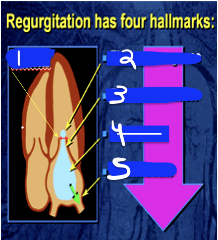 <p>3</p>