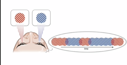 <p>Een verschijnsel waarbij twee verschillende beelden aan elk oog worden aangeboden, wat resulteert in afwisselende perceptie. fluctueert over tijd, elke 3-4 sec veranderd</p><p>input is altijd identiek, ergens in je brein verandert er iets dat je switcht van de ene interpretatie naar de andere</p>