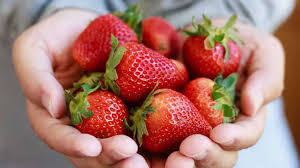 <p>Some strawberries</p><p>I love eating some strawberries, they’re sweet, sour, and delicious.</p>