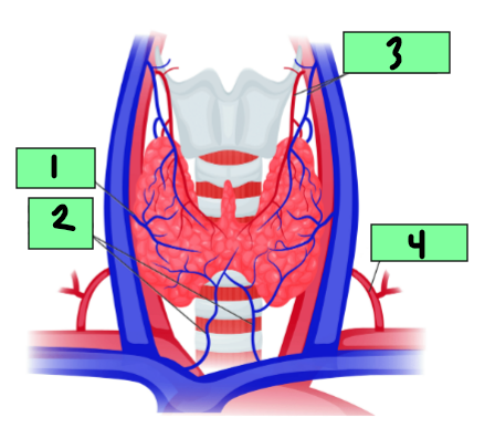 <p>1</p>