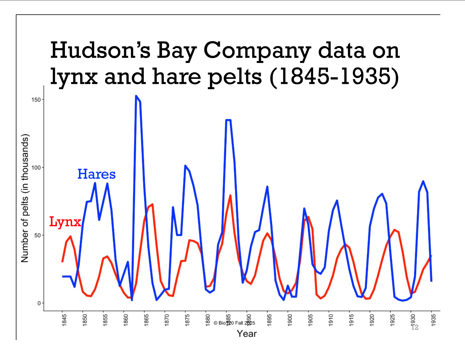 <p>Coupled lagged population cycles</p>