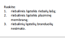 <p>baltasis riebalinis audinys (taukinė) (adipocitai)</p>