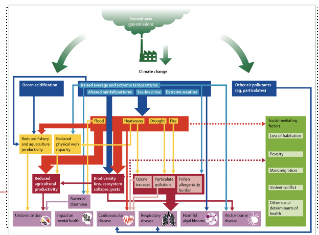 <p>rapidly changing climate has dire implications for every aspect of human life, exposing vulnerable populations to extremes of weather and altering patterns of infectious diseases </p><p>You can talk through this slide and then mention that they will re-visit this in environment and health</p>