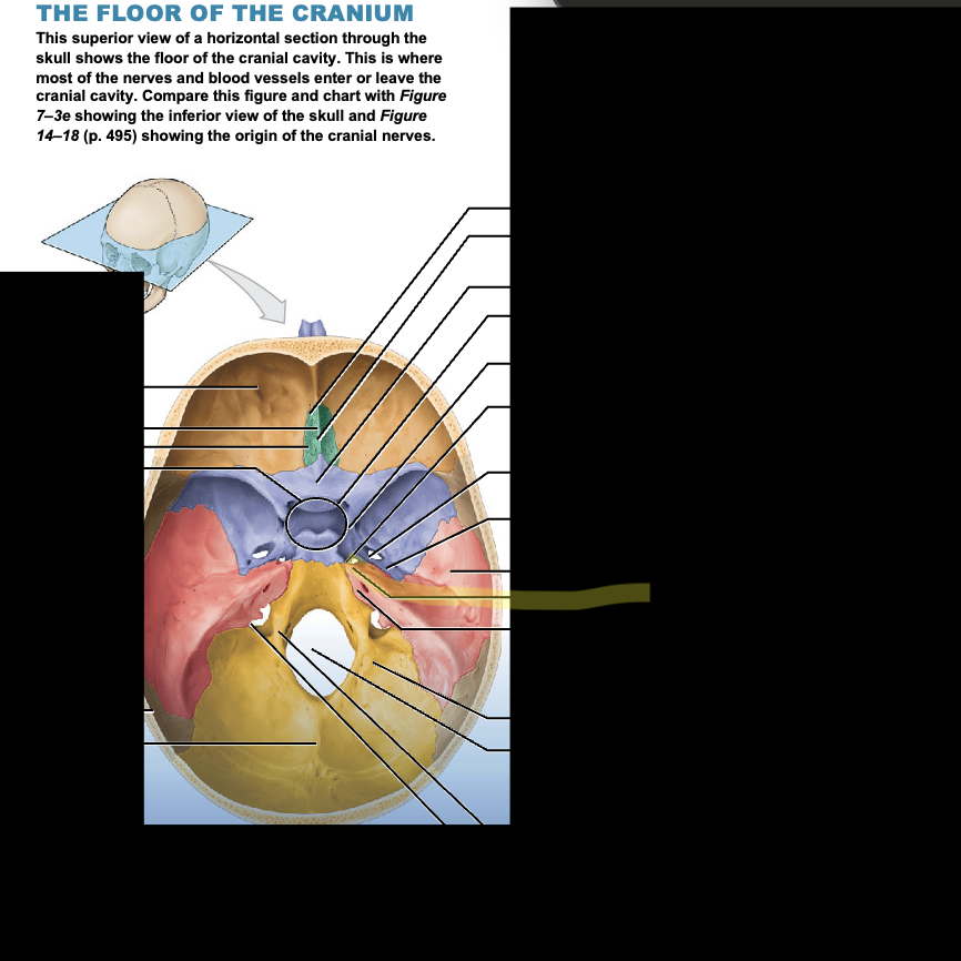 <p>What is the structure?</p>