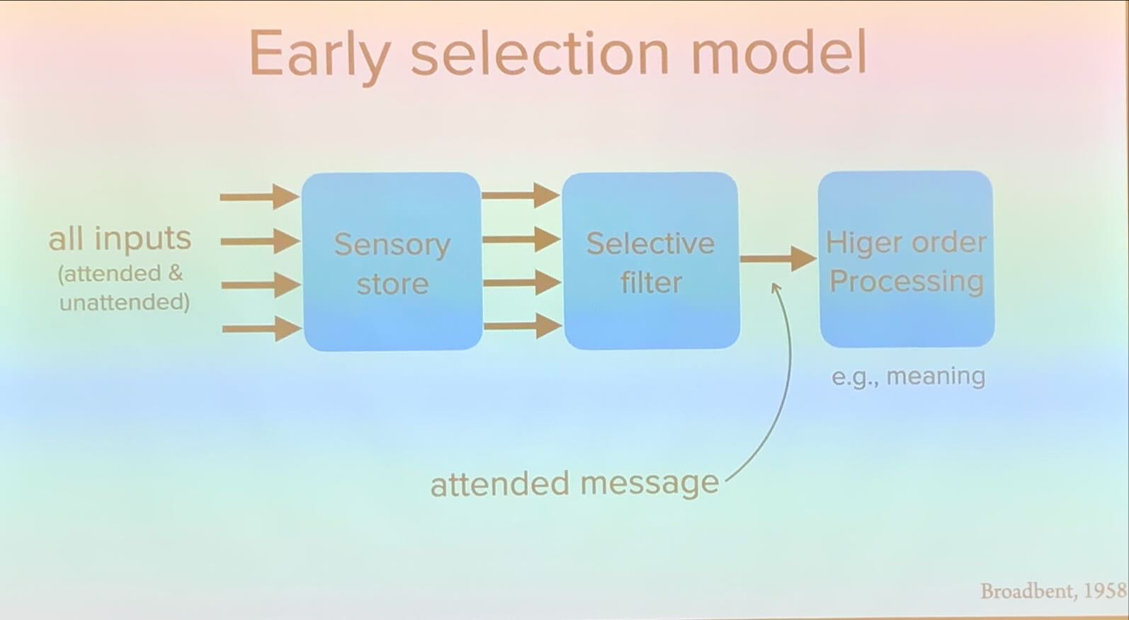 <p>the filter eliminates the unattended information right at the beginning of the flow of information.</p>
