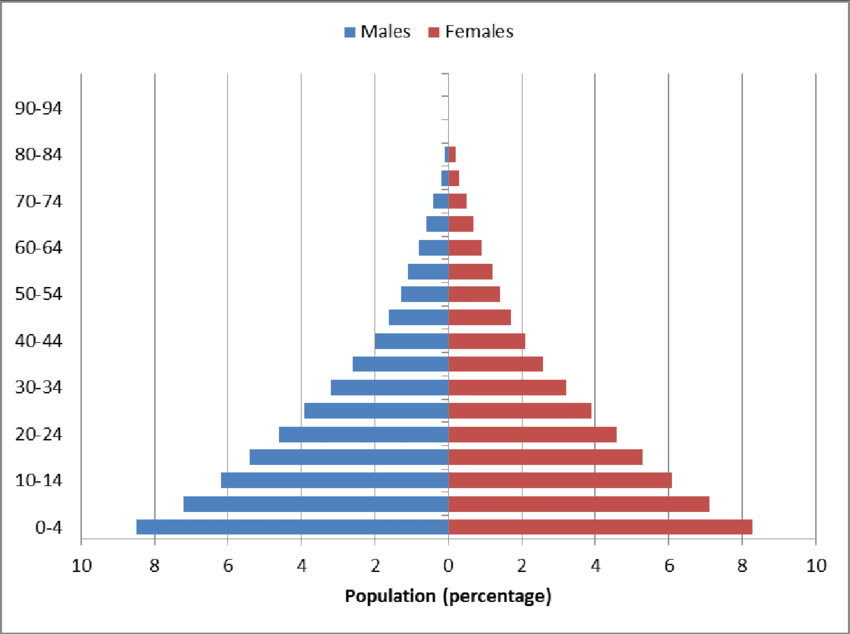<p>a graphical representation that shows the distribution of various age groups in a population, which forms the shape of a pyramid when the population is growing.</p>