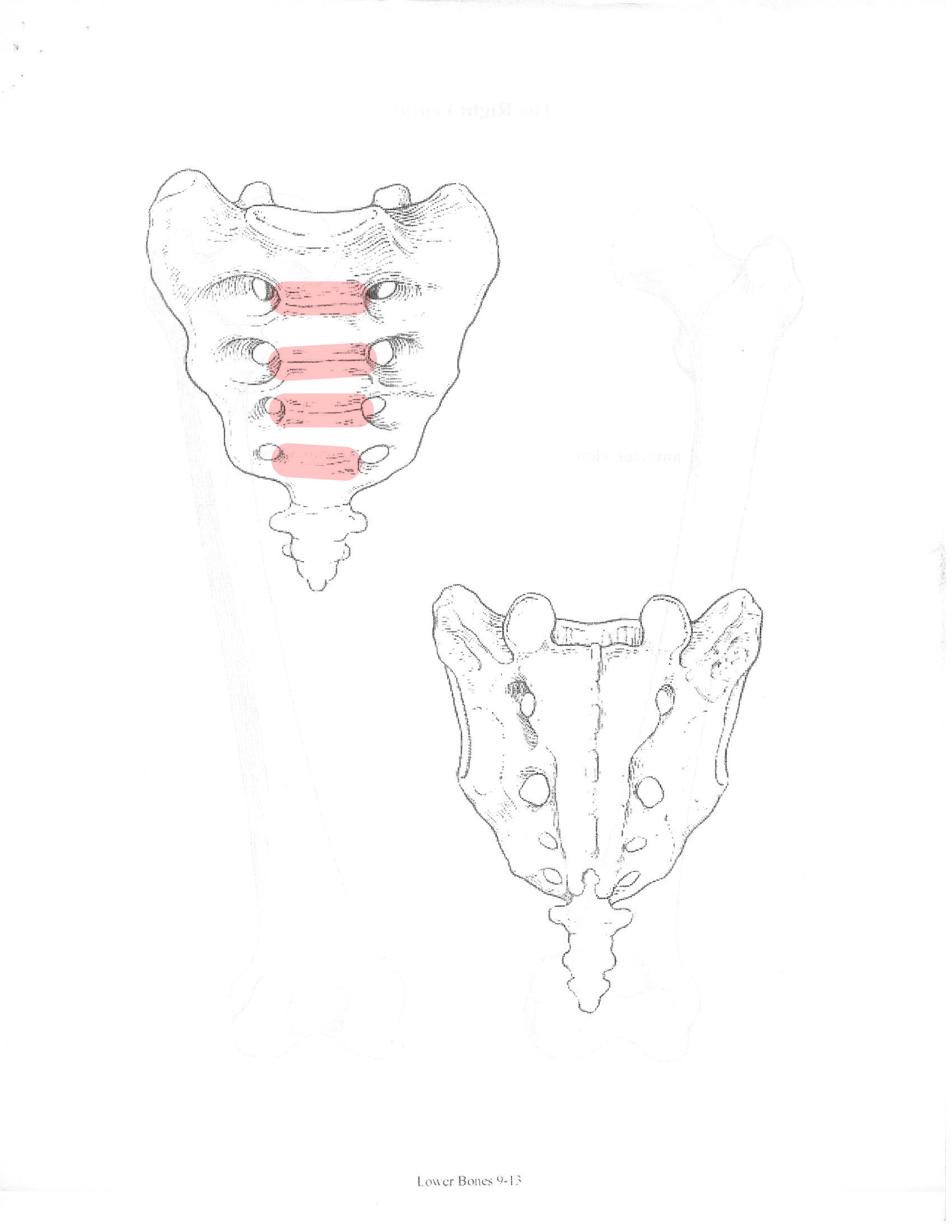 <p>ID feature</p>