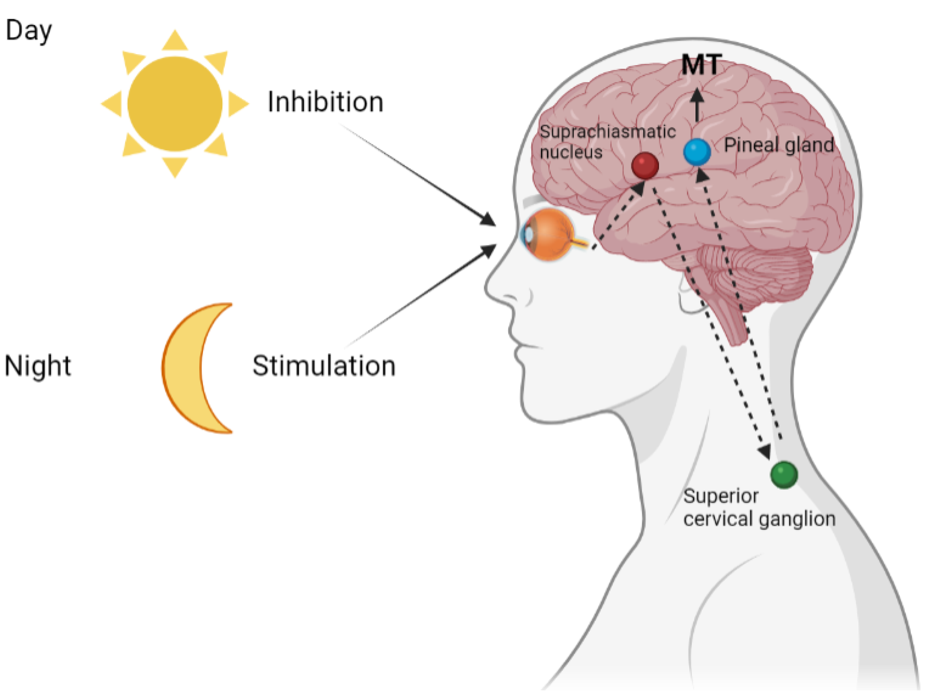 Melatonin
