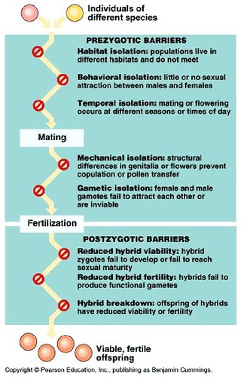 <p>Prevent mating or fertilization between different species.</p>