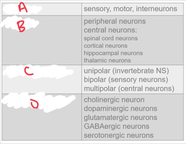 <p>What is C?</p>