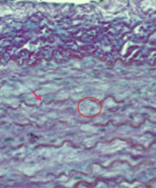 <p>What is this image?</p>