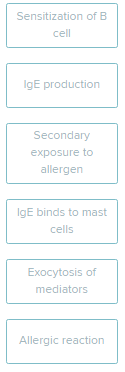 <p>Put the steps that occur during an immediate-reaction allergic response in the correct order.</p><p><span style="font-size: inherit; font-family: inherit"><br></span></p>