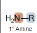 <p>Primary amine</p>