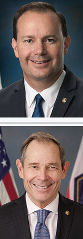 <p></p>