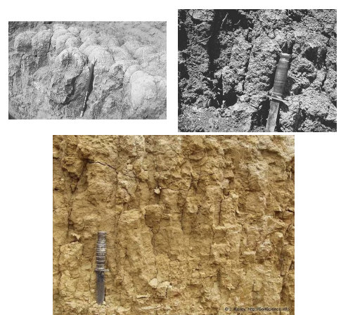 <p><strong>describe prismatic soil structure and where it is usually found.</strong></p>