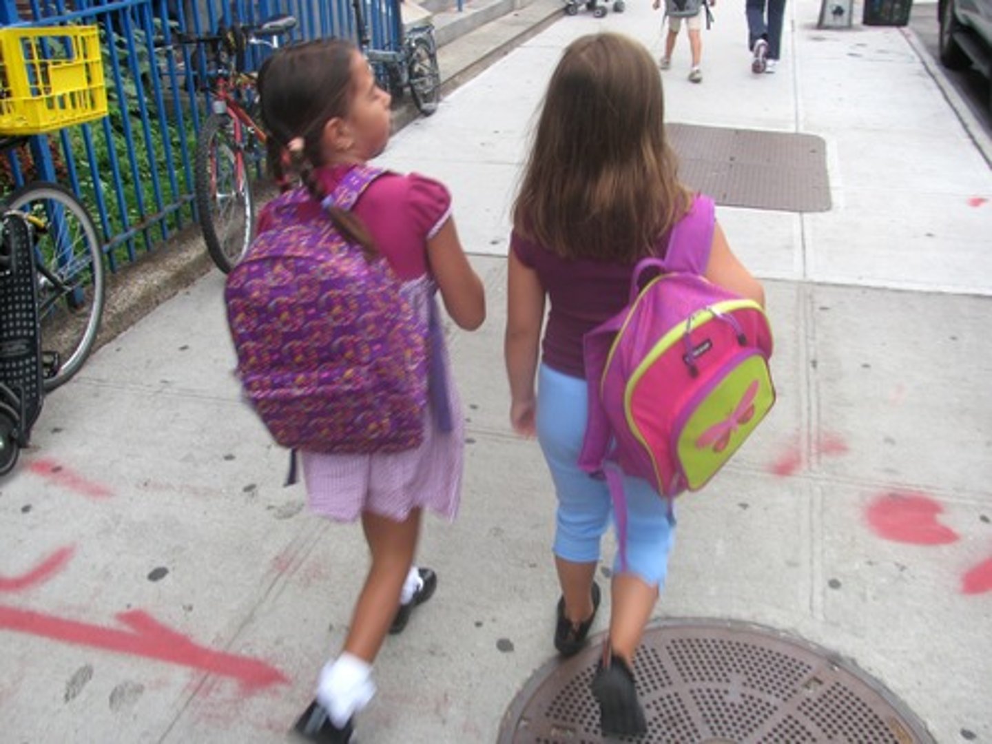 <p>primary school</p>