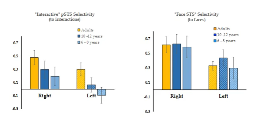 <p>The superior temporal sulcus (STS) demonstrates early face-selective responses in infancy that become more focal, bilateral, and strongly tuned to complex social information (like social interaction and dynamic expressions) throughout childhood and adolescence. </p>