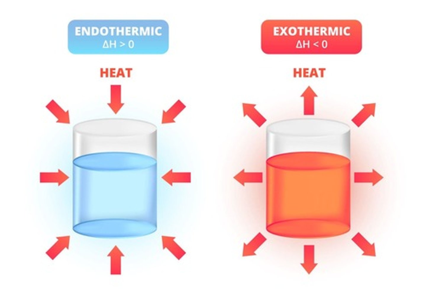 <p>A reaction that absorbs energy from the surroundings, resulting in a decrease in temperature.</p>