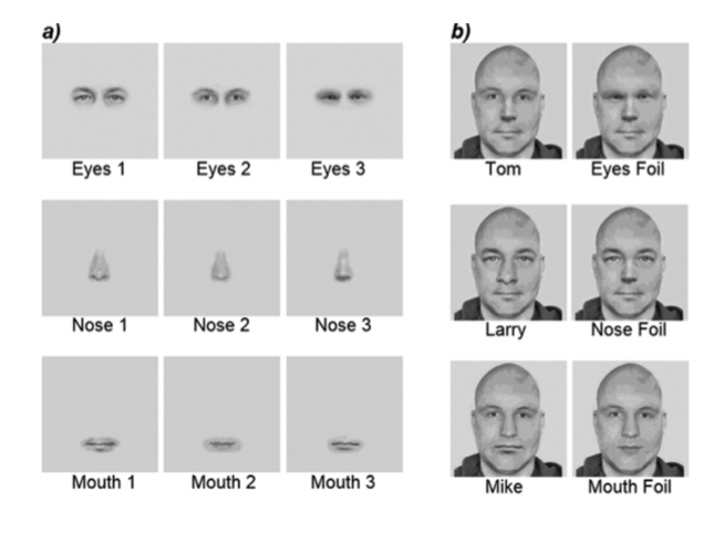 <p>Three different eyes/noses/mouths</p><ul><li><p><span>Can combine these face features in different ways to construct different identities</span></p></li><li><p><span>Ask ppts to learn these identities</span></p></li><li><p><span>How good are ppts are identifying these different features depending on whether they're presented in isolation or within the context of the face?</span></p></li></ul>