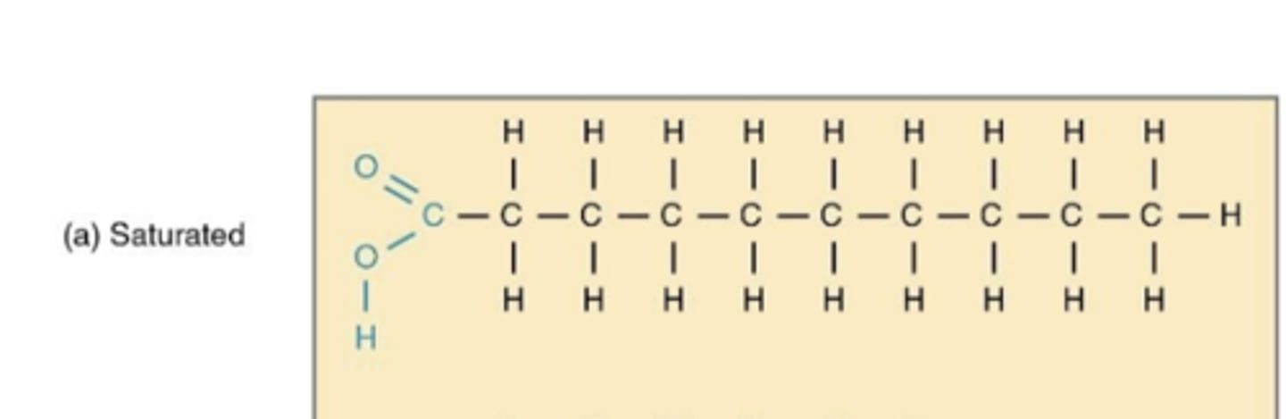 <p>no double bonds</p><p>packed tightly together</p><p>max # of hydrogens</p><p>solid at room temp</p><p>a straight chain</p>