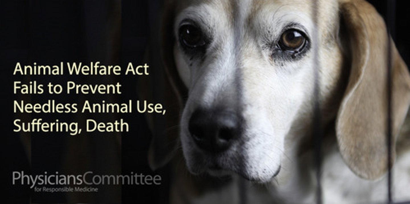 <p>Protect dogs and cats from theft, prevent the use of stolen pets, and ensure humane care for animals in research.</p>