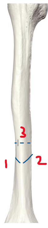 <p>1</p>