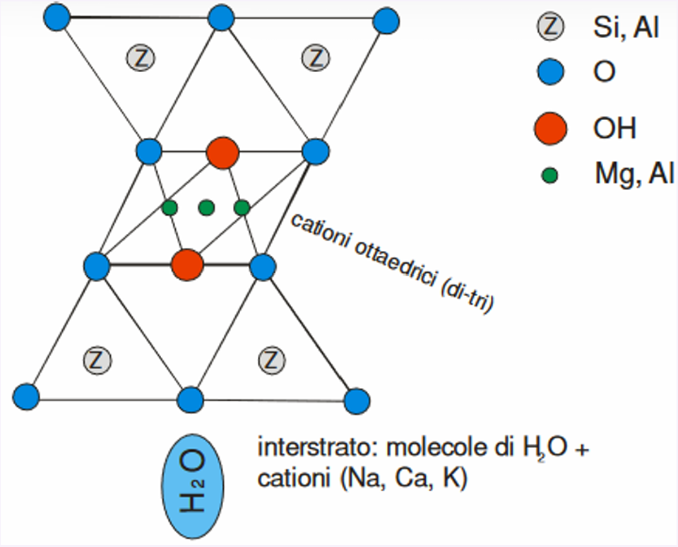 <p>Struttura dei Fillo-silicati</p><p>Composta da:</p><ul><li><p>Foglio tetraedrico (T): formato da tetraedri SiO₄</p></li><li><p>Foglio ottaedrico (O): cationi (Al, Mg, Fe) coordinati con ossigeni e gruppi OH⁻</p></li><li><p>i: miche (k, Na, Ca)</p></li><li><p>H₂O</p></li></ul><p>Es</p><ul><li><p>SMECTITE: <span>(Ca,Na,H)0.</span>₃₅<span>(Al,Mg,Fe)</span>₂-₃<span>Si</span>₄<span>O</span>₁0<span>(OH)</span>₂<span>⋅nH</span>₂<span>O</span></p></li></ul><p></p><p></p>