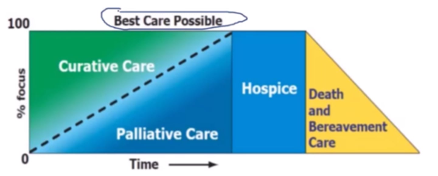 <p>diagnosis, 6 month prognosis</p>